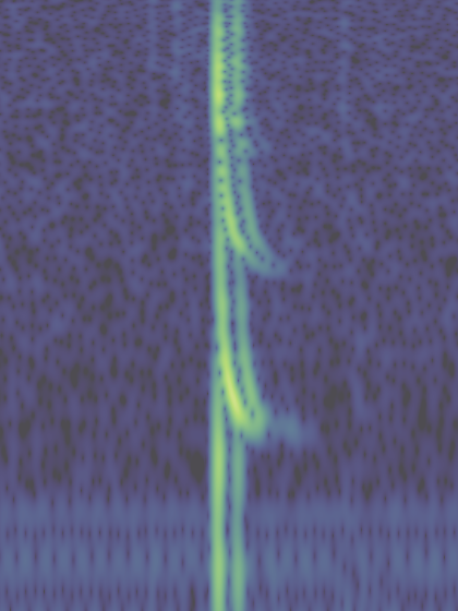 VLF
